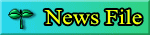 News File
